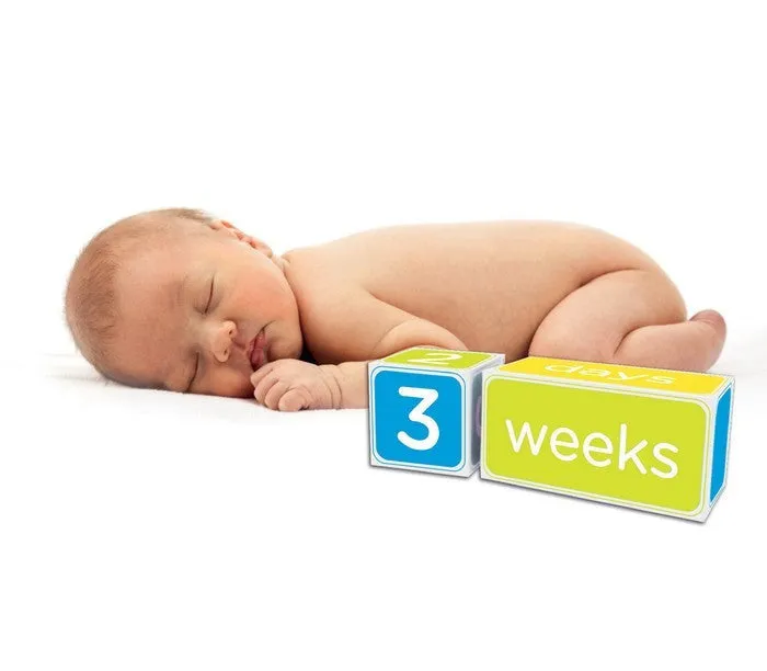 Pearhead Blue Age Block Set